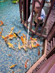 -酷嗒动物文化乐园(cutezoo西溪乐天城店)