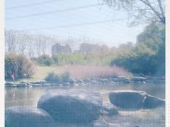 -九里河湿地公园