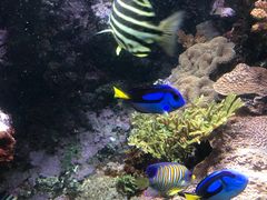 -鹿儿岛水族馆
