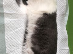 -美迦爱-牙专科·兔科·骨科诊疗中心(北苑店)