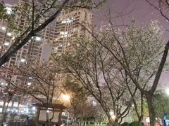-西北湖绿化广场