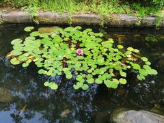 -天赐温泉