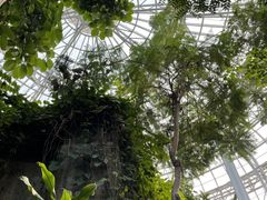 -郑州植物园