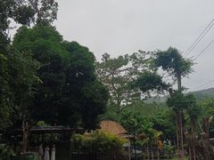 -海南槟榔谷黎苗文化旅游区