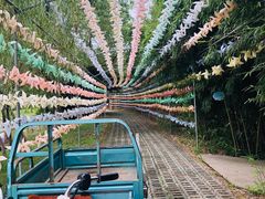 -上膳源有机农场