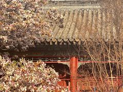 -潭柘寺景区
