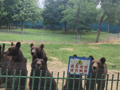 -秦皇岛野生动物园