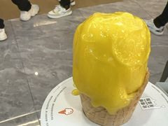 -野人先生现做冰淇淋(西安赛格店)