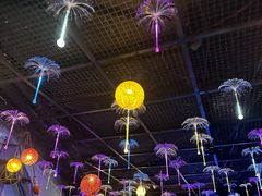 -海合安青岛极地海洋公园