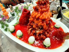 -丁老爷子苏香圆
