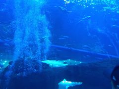 -成都浩海立方海洋公园