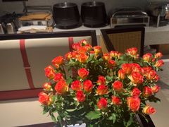 -铂尔登国际酒店(南山深圳湾口岸店)