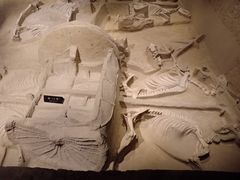 -洛阳周王城天子驾六博物馆