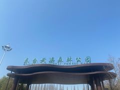 -黄海国家森林公园