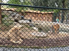 -北京野生动物园