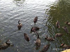 -长白岛森林公园