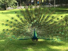 -西昌邛海宾馆