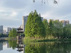 -洋湖国家湿地公园