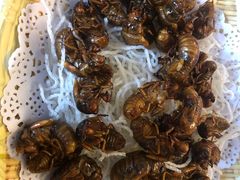 -赵记煎饼卷大葱(东岳店)