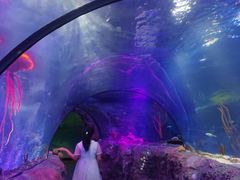 -沈阳海洋探索中心