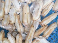 -望海潮海鲜店 特色家常菜(在海一方店)