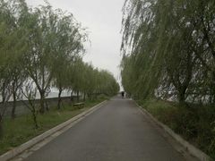 -湖鲜楼