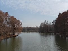 -上海海湾国家森林公园