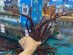 -渔人金景(湛江·渔人码头店)