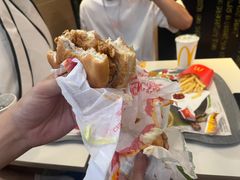 -麦当劳(从化从城大道店)