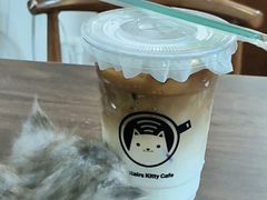 -楼上猫咖(罗湖店)