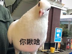 -王府井奥莱临潼小镇(临潼店)