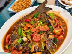 野生鲤鱼啤酒鱼-生态苑农庄(十里画廊遇龙河店)