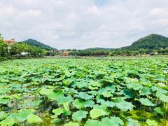 -红山村