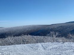 -大秃顶子山
