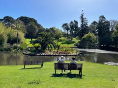 -墨尔本皇家植物园