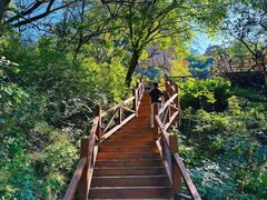 -大岭沟猕猴桃谷风景区