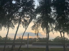 -宝安西湾红树林湿地公园