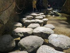 景点-牛背梁国家森林公园