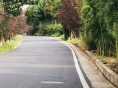 -东天目山风景区