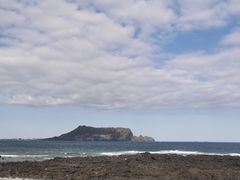 -涉地可支