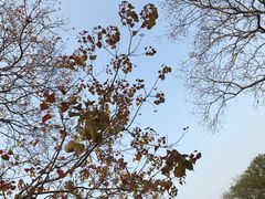 -白塘生态植物园