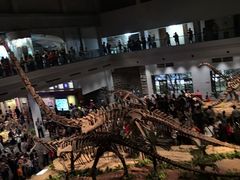 -自贡恐龙博物馆