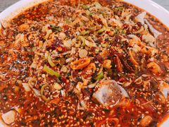 -杨大姐四川风味麻辣鸡(古陌路店)