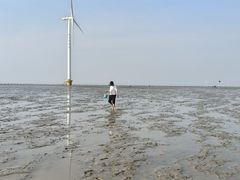 -小洋口旅游度假区