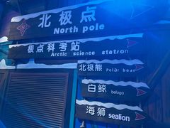 -海合安青岛极地海洋公园