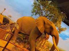 -陕西自然博物馆