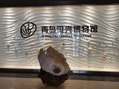 -青岛贝壳博物馆