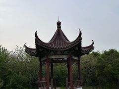 -六合国家地质公园桂子山景区