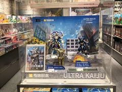 -X11(北京首开熙悦龙湖天街龙湖店)