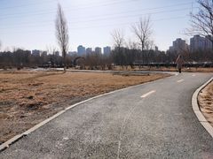 -太阳宫公园